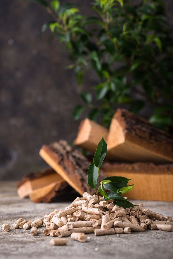 Bûches compressées : efficacité et praticité au quotidien